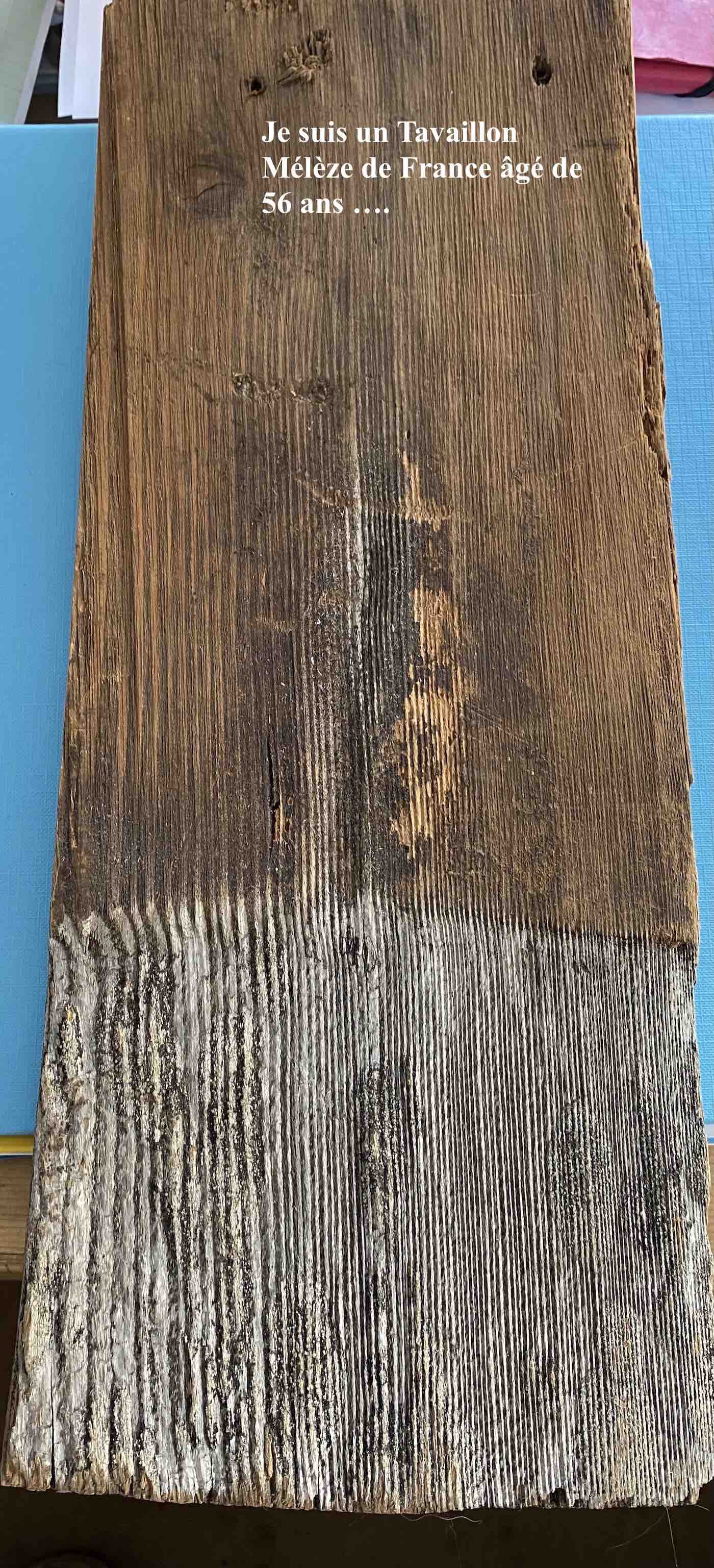 boistavaillonsexemple